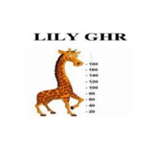 LILY GHR Logo