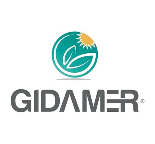 GIDAMER Logo