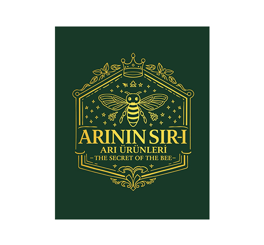ARININ SIR-I Logo