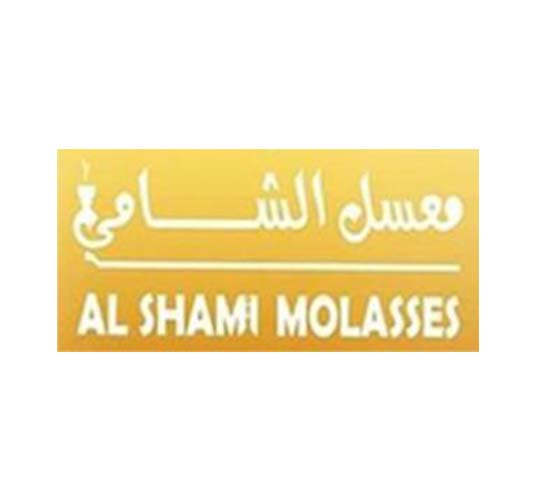 MOASSELALSHAMI Logo