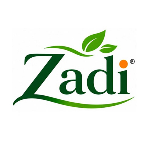 Zadi Logo